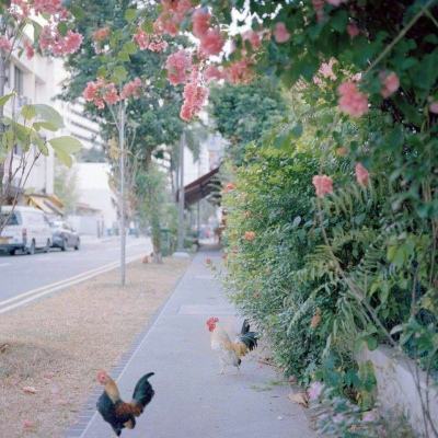 半岛游戏官方网站入口